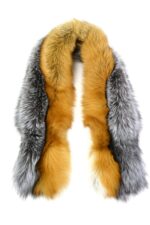 ŠÁLA POLÁRNÍ LIŠKA