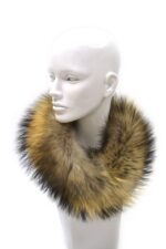 ČELENKA MÝVAL FINSKÝ